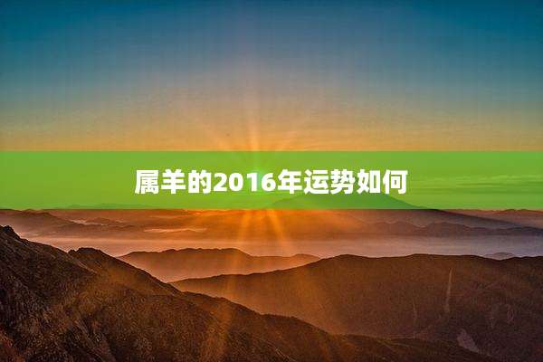 属羊的2016年运势如何