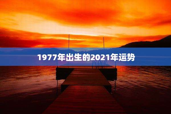 1977年出生的2021年运势