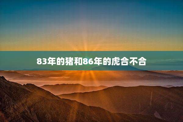 83年的猪和86年的虎合不合