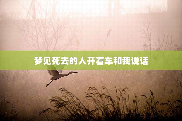 梦见死去的人开着车和我说话