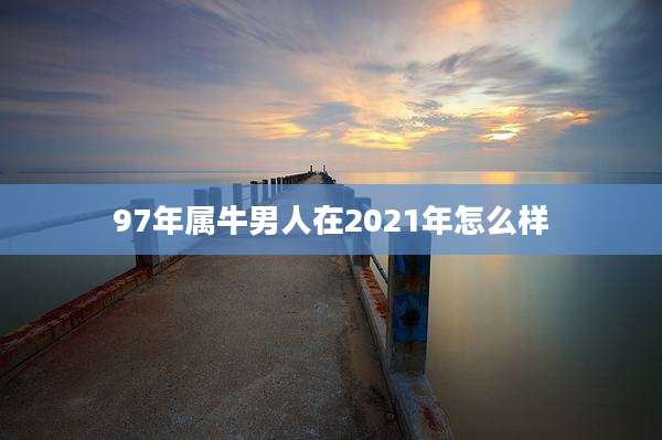 97年属牛男人在2021年怎么样