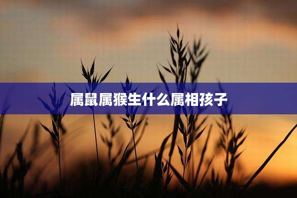 属鼠属猴生什么属相孩子