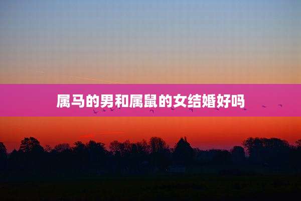 属马的男和属鼠的女结婚好吗