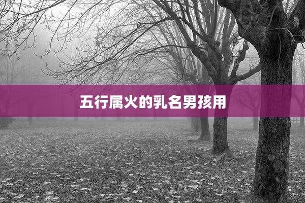 五行属火的乳名男孩用