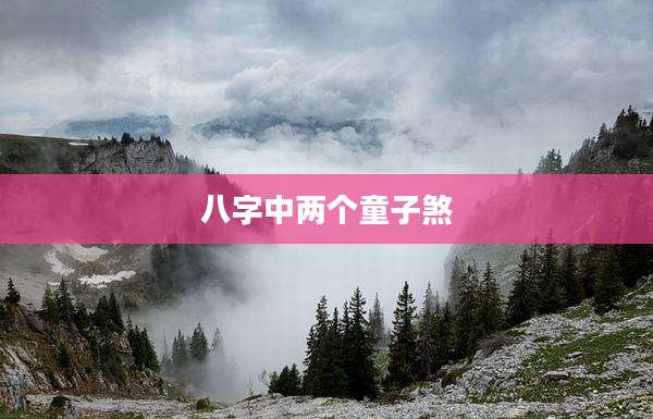 八字中两个童子煞