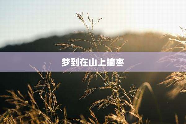 梦到在山上摘枣