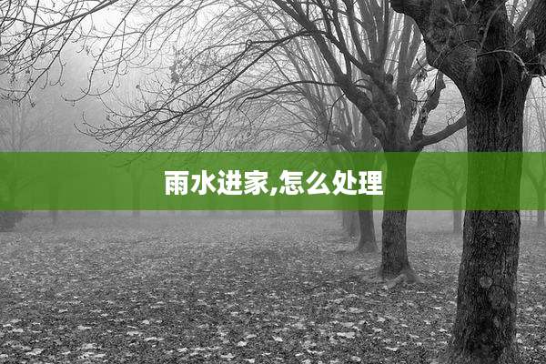 雨水进家,怎么处理