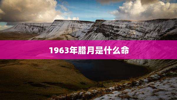 1963年腊月是什么命