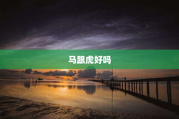 马跟虎好吗