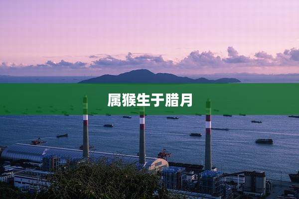 属猴生于腊月