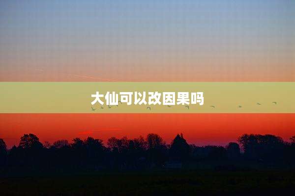 大仙可以改因果吗