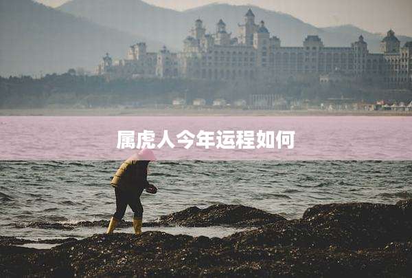 属虎人今年运程如何