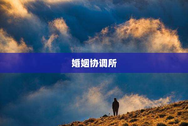 婚姻协调所