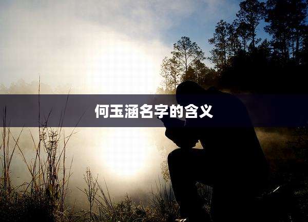 何玉涵名字的含义