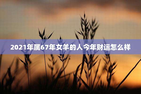 2021年属67年女羊的人今年财运怎么样