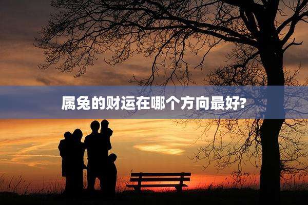 属兔的财运在哪个方向最好?