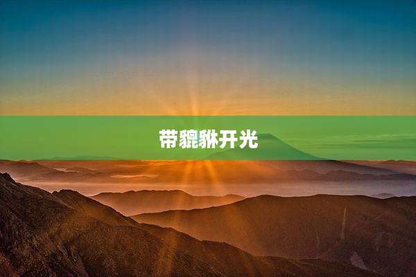 带貔貅开光
