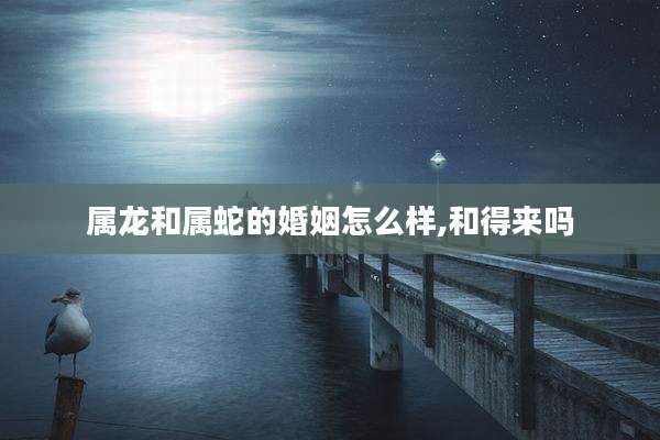 属龙和属蛇的婚姻怎么样,和得来吗