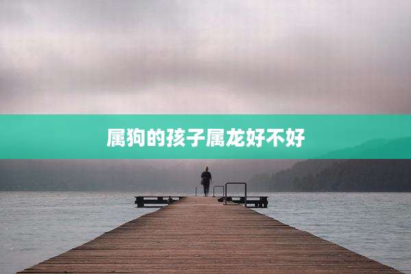 属狗的孩子属龙好不好