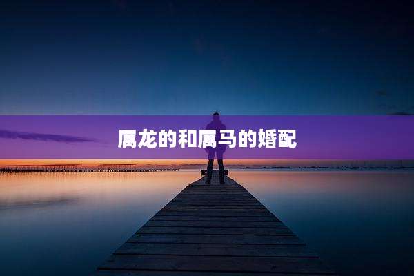 属龙的和属马的婚配