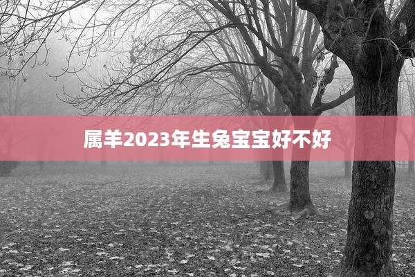属羊2023年生兔宝宝好不好