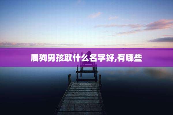 属狗男孩取什么名字好,有哪些