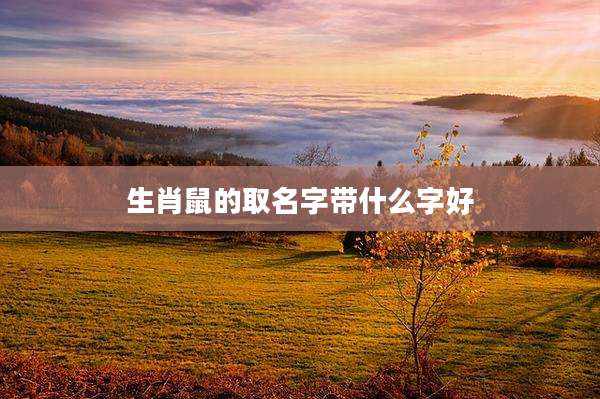 生肖鼠的取名字带什么字好