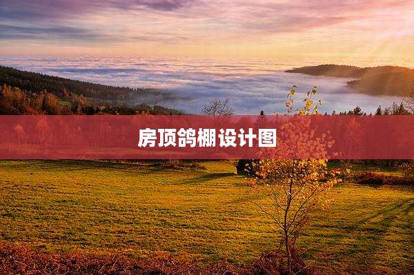房顶鸽棚设计图