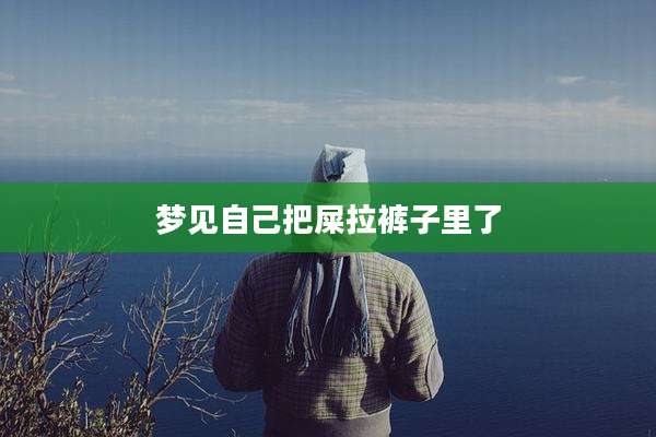 梦见自己把屎拉裤子里了