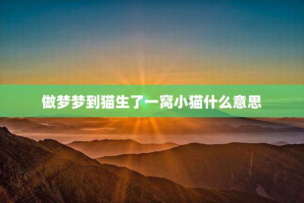 做梦梦到猫生了一窝小猫什么意思