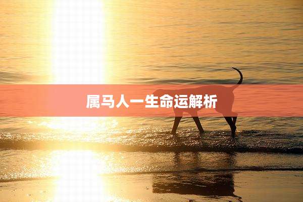 属马人一生命运解析