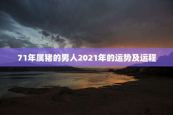 71年属猪的男人2021年的运势及运程