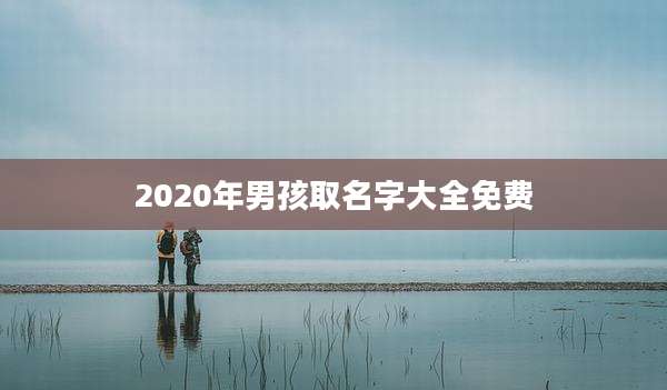 2020年男孩取名字大全免费