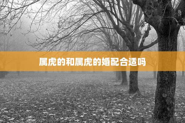 属虎的和属虎的婚配合适吗