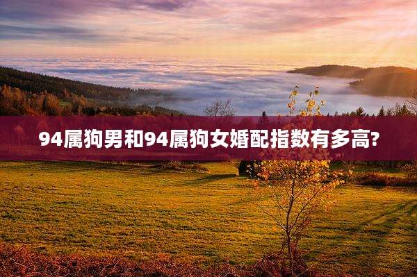 94属狗男和94属狗女婚配指数有多高?
