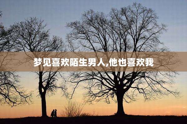 梦见喜欢陌生男人,他也喜欢我