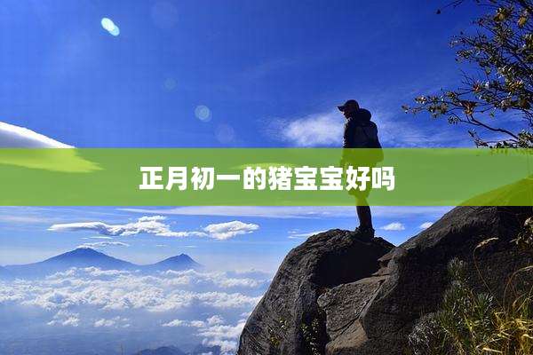 正月初一的猪宝宝好吗