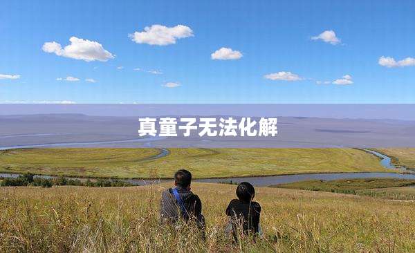 真童子无法化解