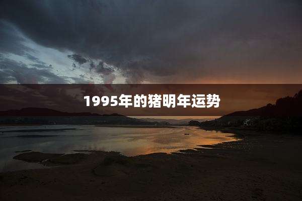 1995年的猪明年运势