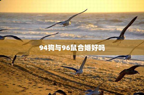 94狗与96鼠合婚好吗