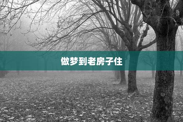 做梦到老房子住
