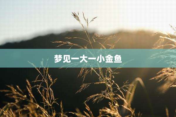 梦见一大一小金鱼