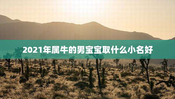 2021年属牛的男宝宝取什么小名好