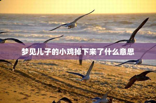 梦见儿子的小鸡掉下来了什么意思