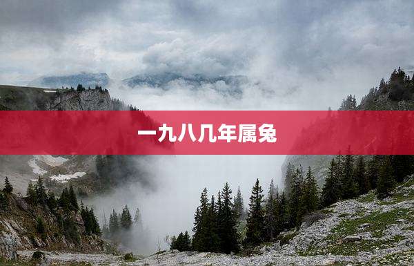 一九八几年属兔