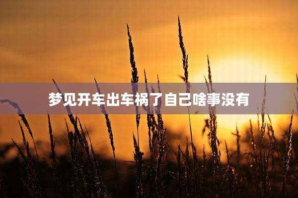 梦见开车出车祸了自己啥事没有