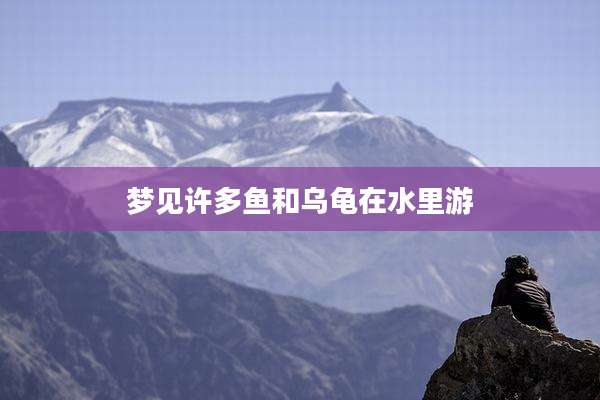 梦见许多鱼和乌龟在水里游