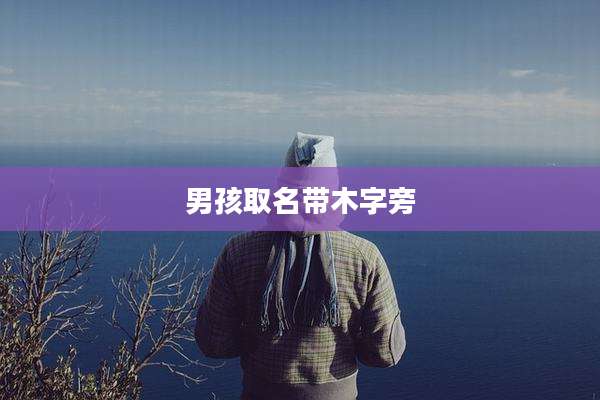 男孩取名带木字旁
