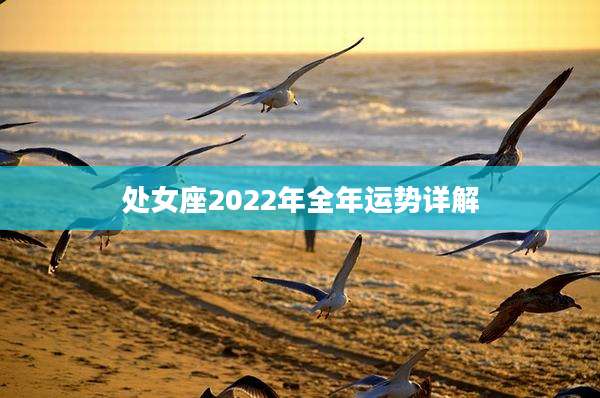 处女座2022年全年运势详解