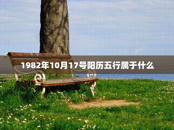 1982年10月17号阳历五行属于什么